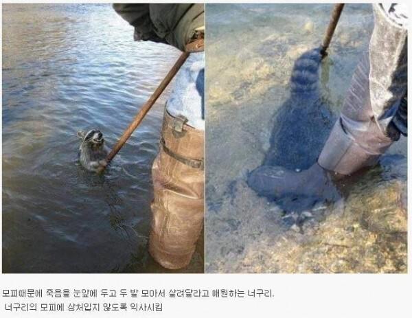 보자마자 ㅈ간 소리 나오는 짤