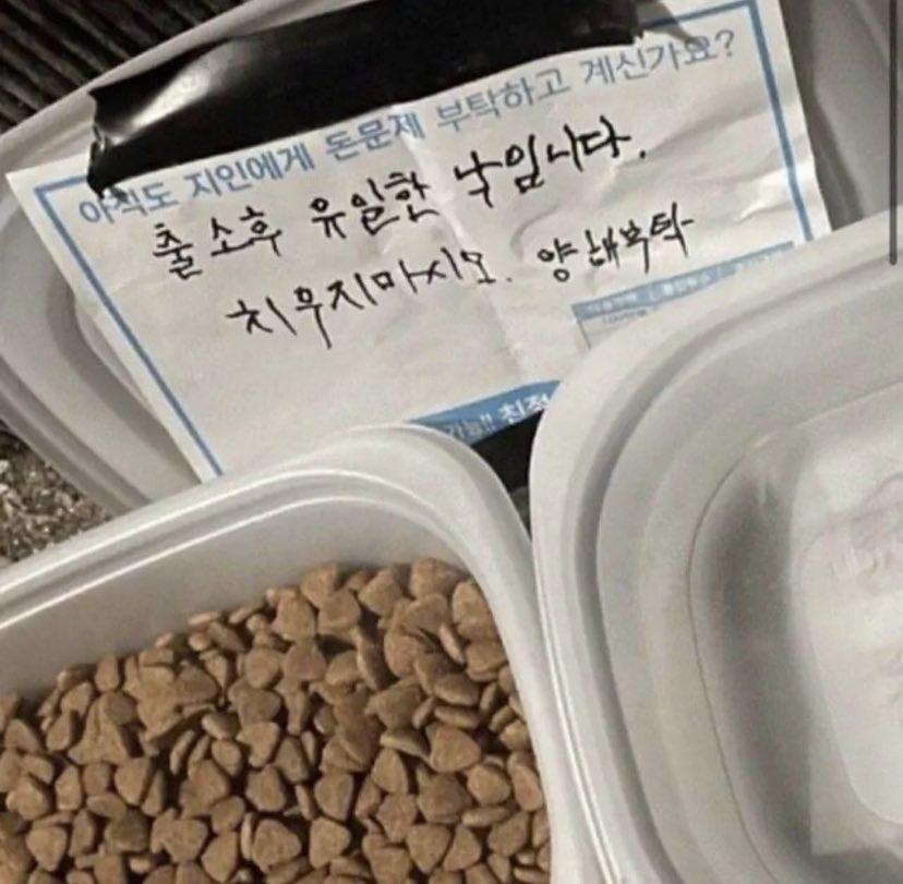 발전한 캣맘.jpg