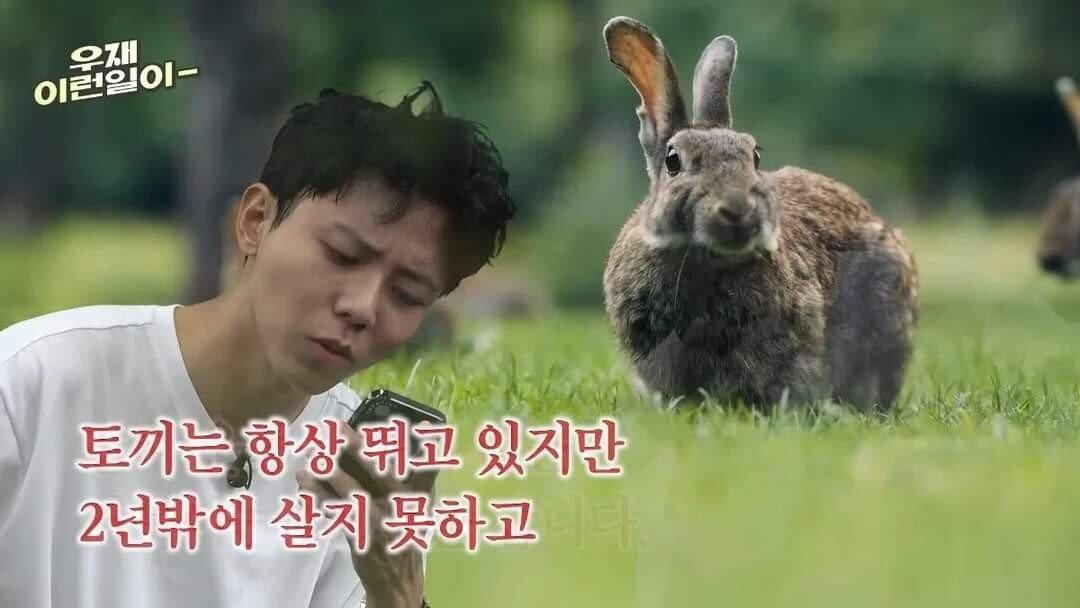 운동을 안하는 이유.