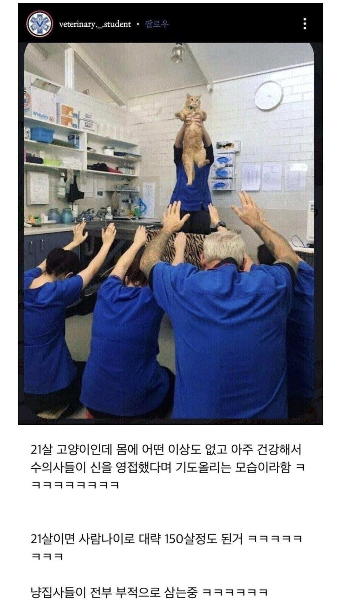 수의사들이 믿는 신