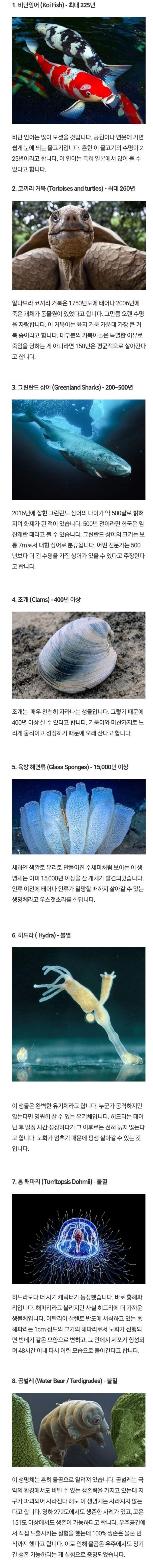 불멸의 삶