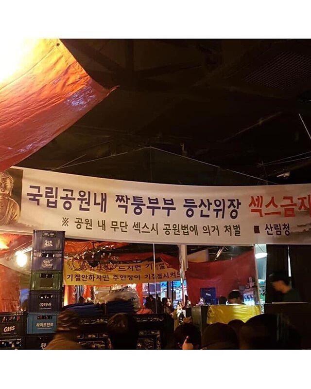 남녀 ㅅㅅ 동호회 근황.