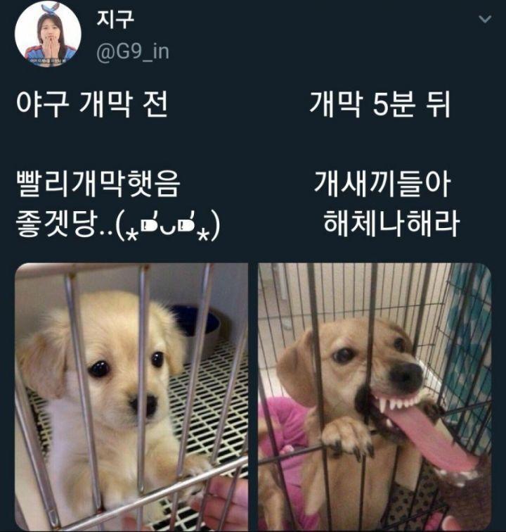 야구 개막전 개막후