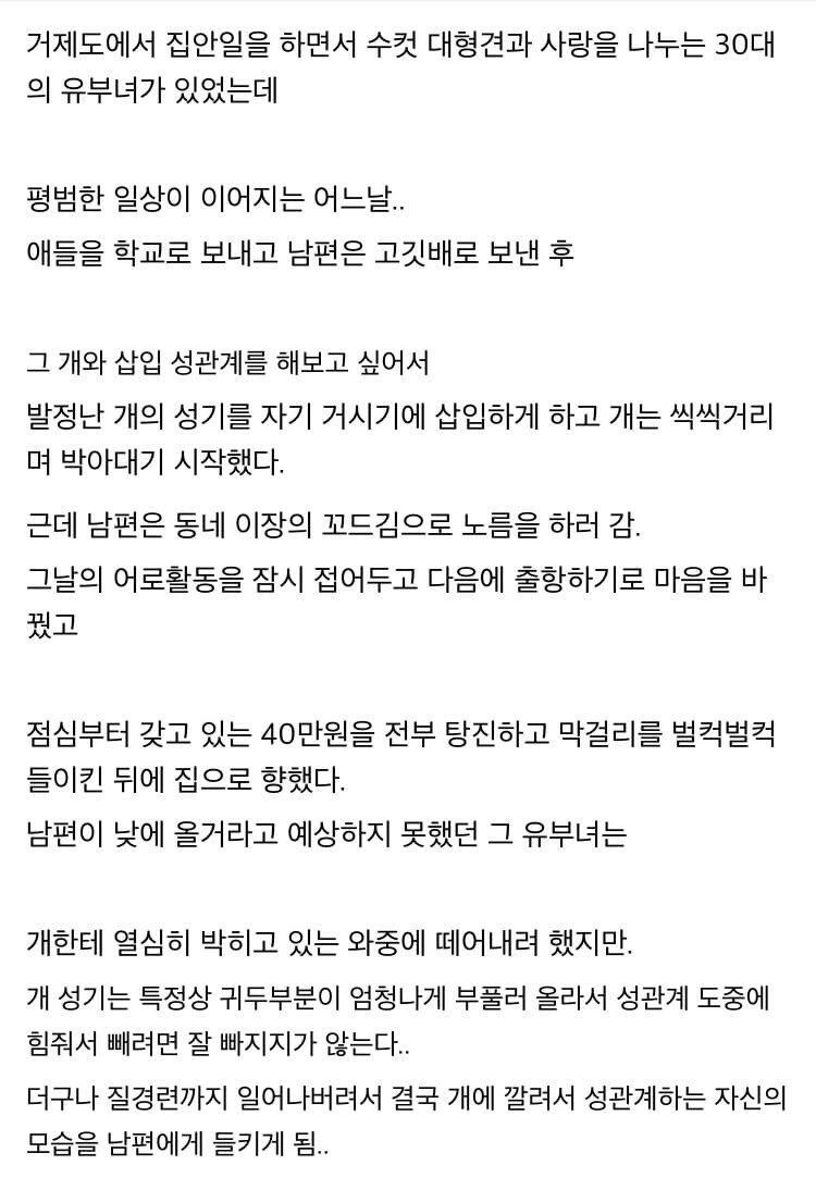 괴담) 오삭오싹 거제도 수간 사건