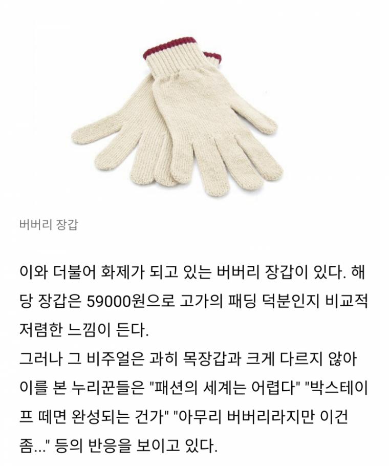 이해할수 없는 패션 세계