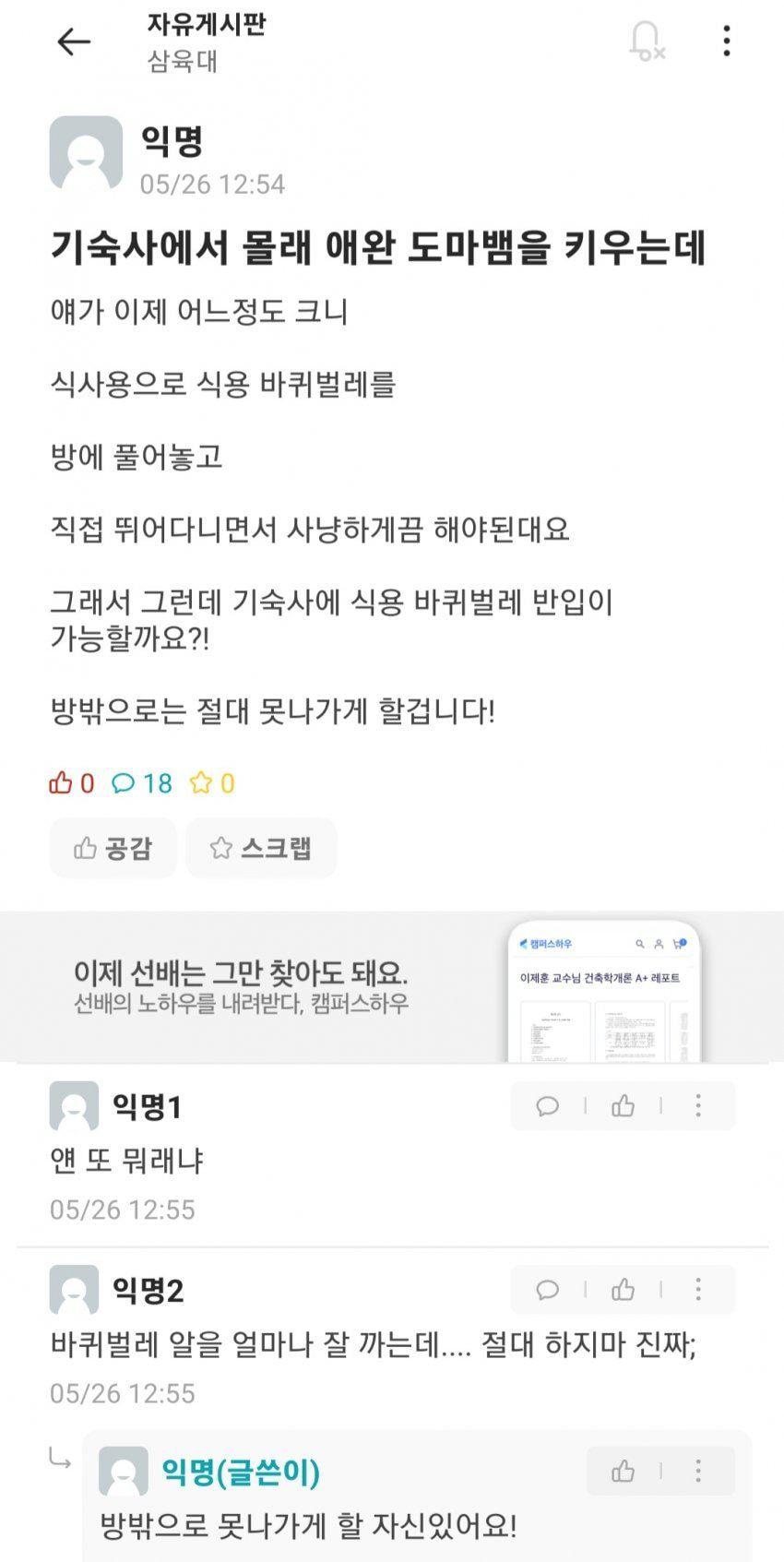 재난영화 도입부 특징.jpg