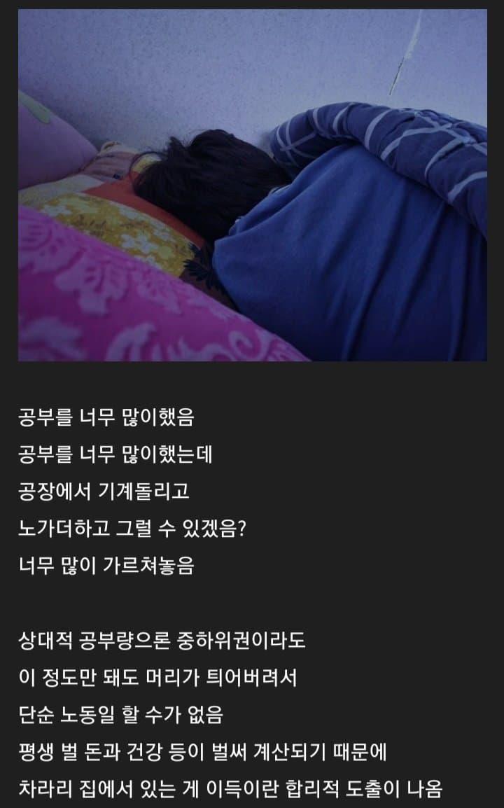 취직을 안하는 이유.jpg