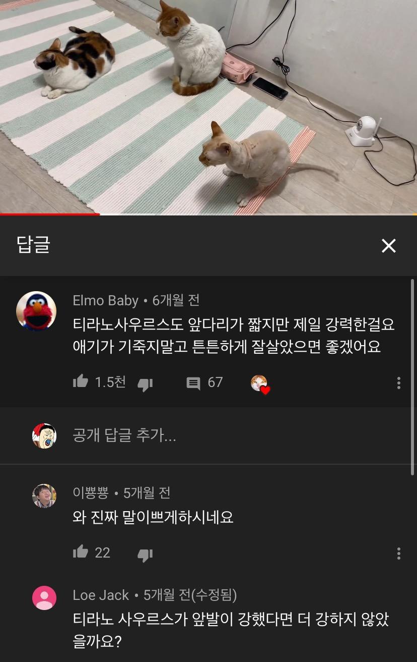 티리노 팩트폭행