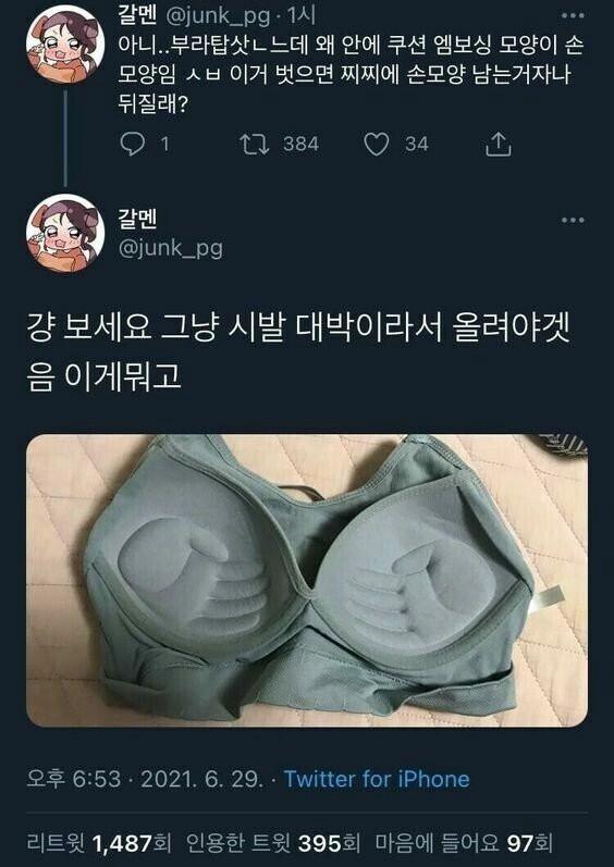 새로 산 브래지어에 빡친녀