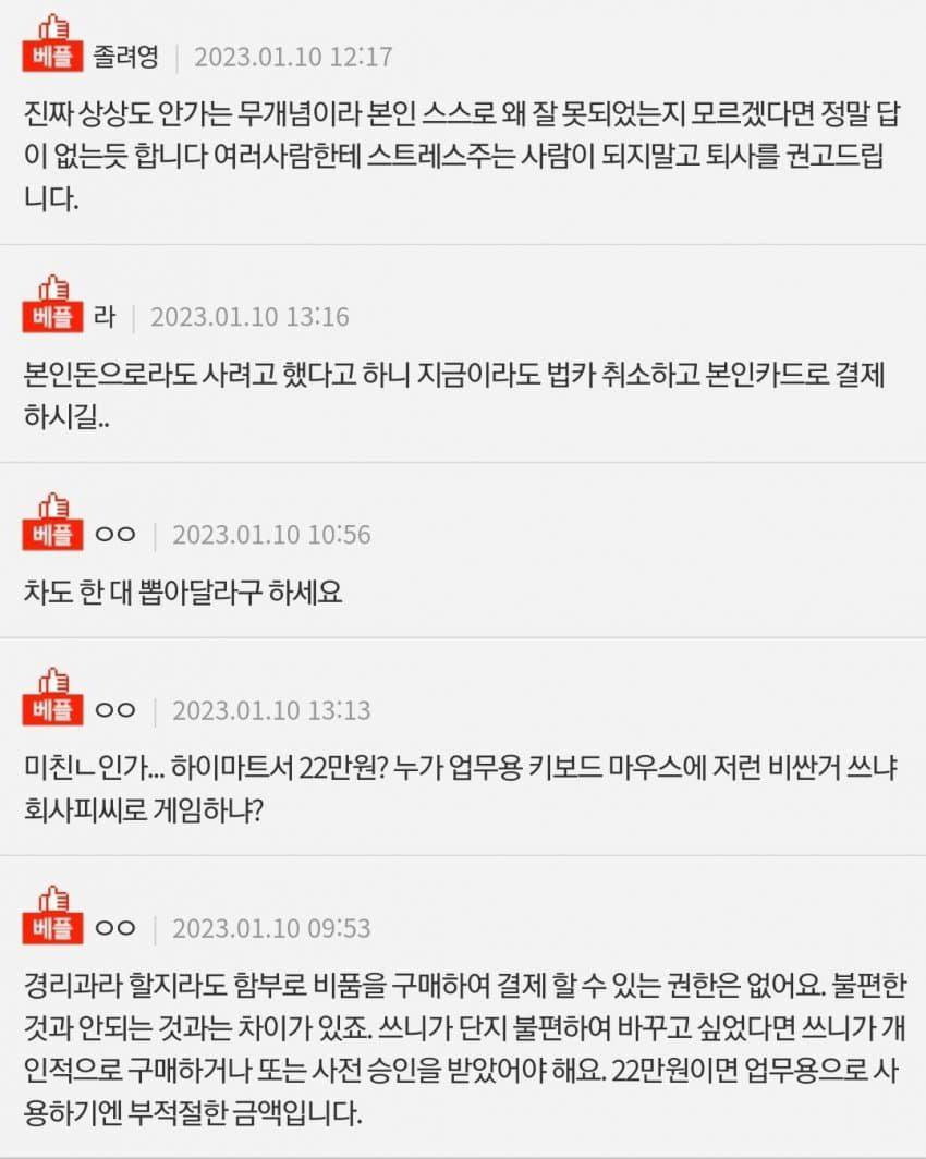 회사 법카로 키보드 마우스 질러버린 경리