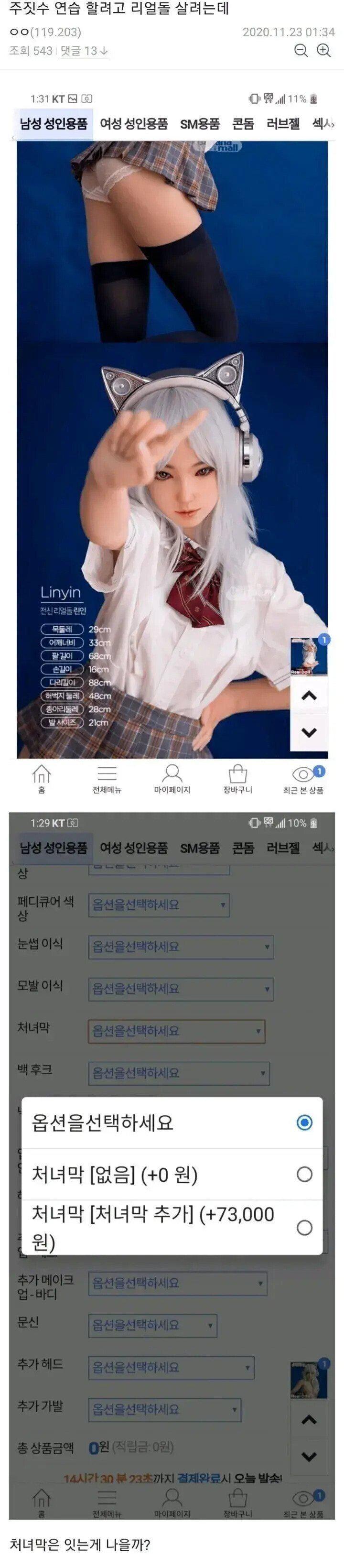 쥬지수 연습하려고 리얼돌 사려는데