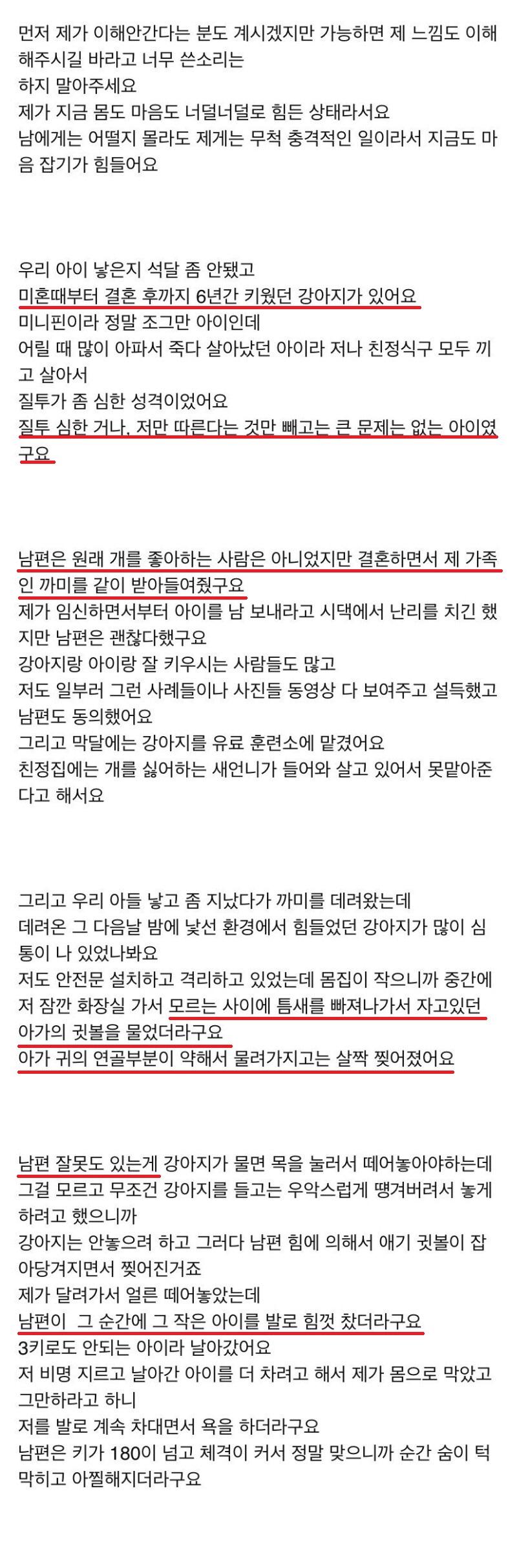 강아지 때문에 이혼 위기인 부부