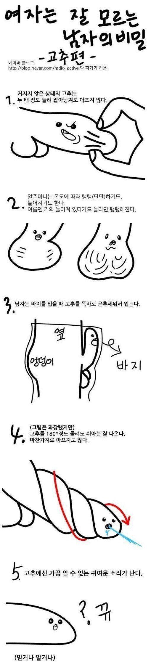 여자는 잘 모르는 고추의 비밀