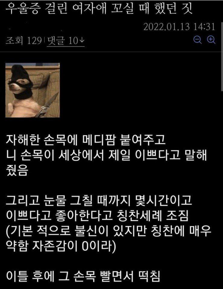 우울증 걸린 여자애를 꼬신 디시인.jpg