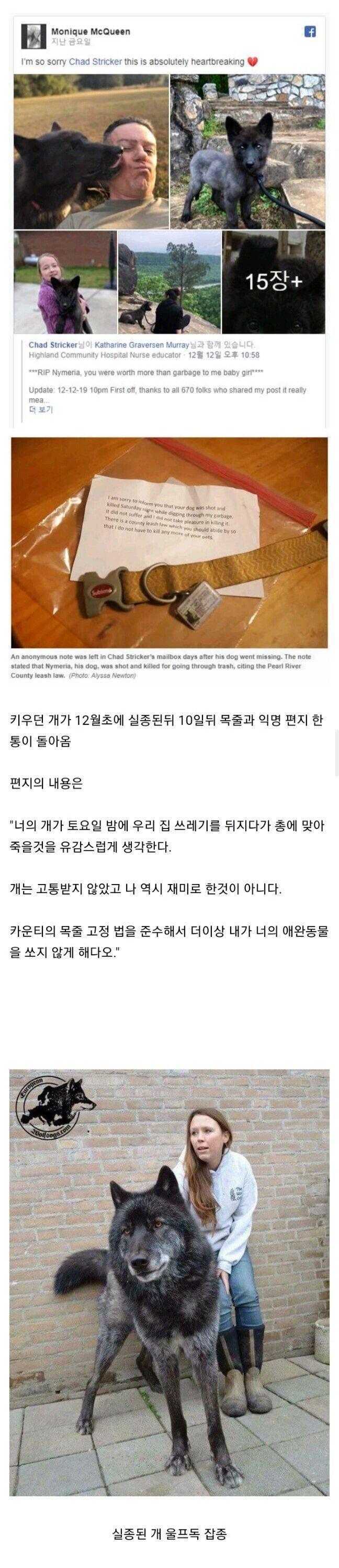 키우던 개가 실종된지 10일만에 온 편지