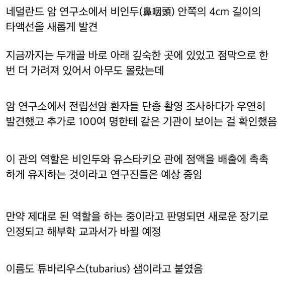 인간의 새로운 장기 발견