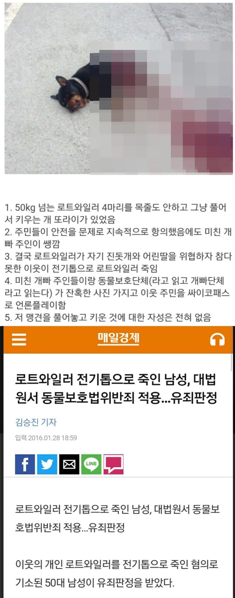 전설로 남은 로트와일러 전기톱 사건