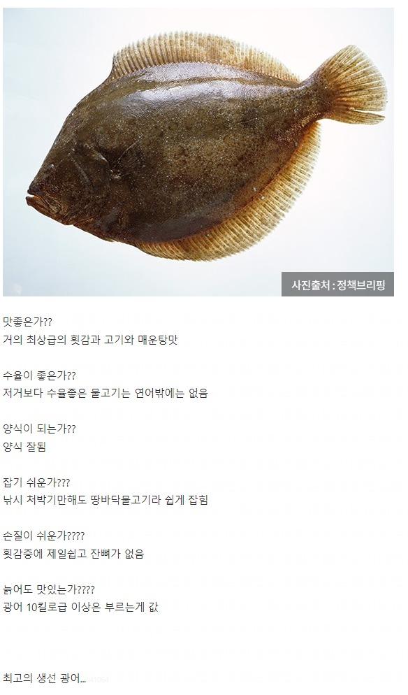 인류 역사상 최고의 생선