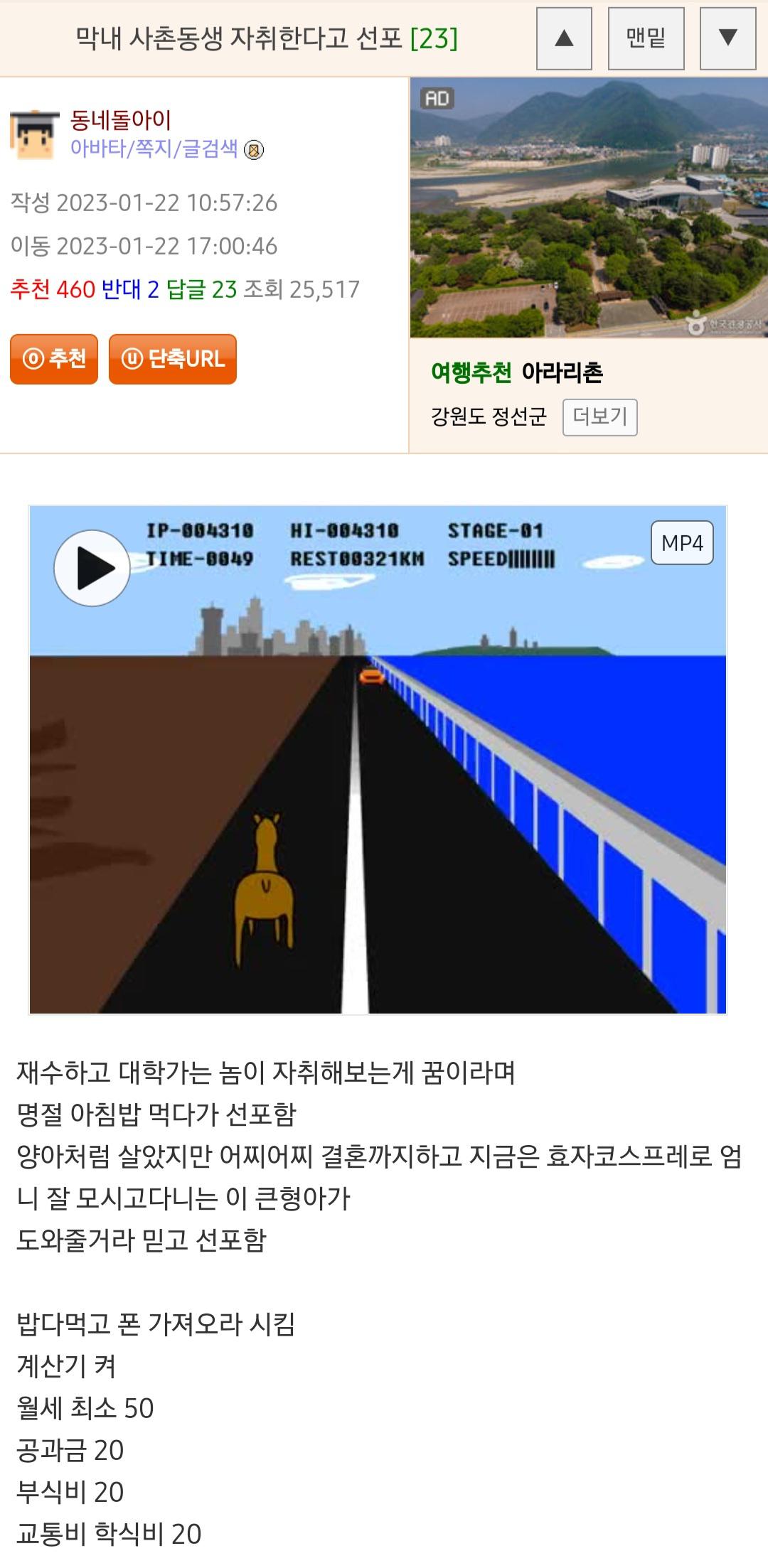 막내 사촌동생 자취한다고 선포