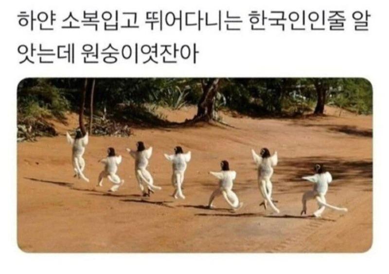 하얀 소복입고 뛰는 한국인 아님