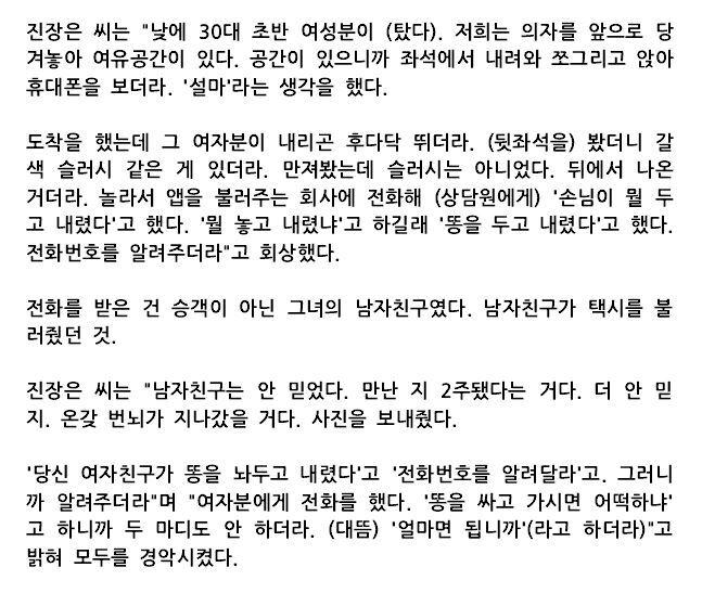 택시에 똥싸고 도망친 여승객