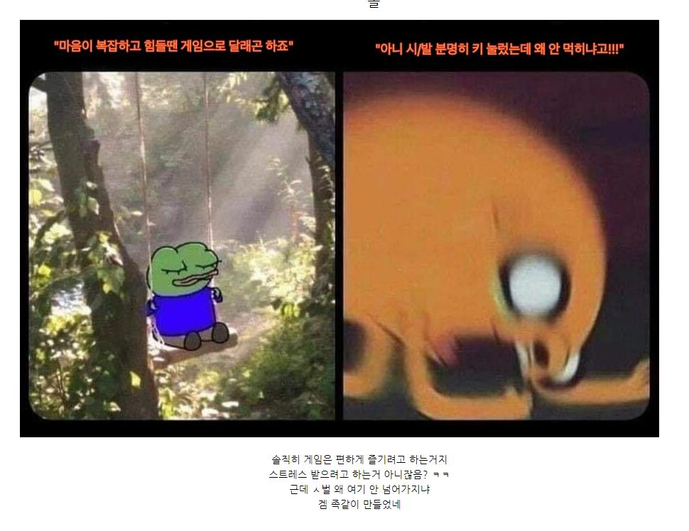 취미로 게임하는 사람들 특징.jpg