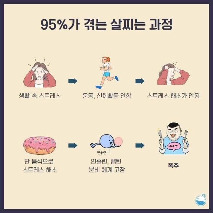 사람들이 95%가 겪는 살찌는 과정