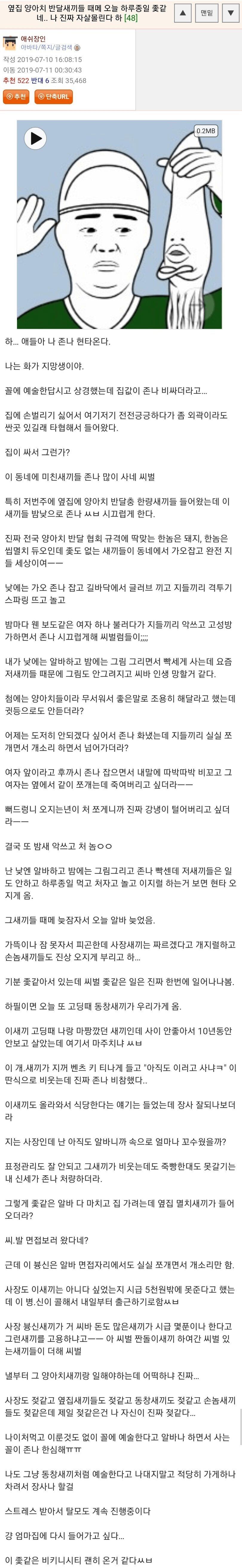 옆집 양아치들 때문에 자살하고싶다