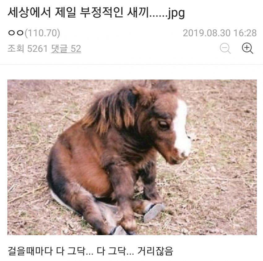 세계에서 제일 부정적인 새끼...jpg