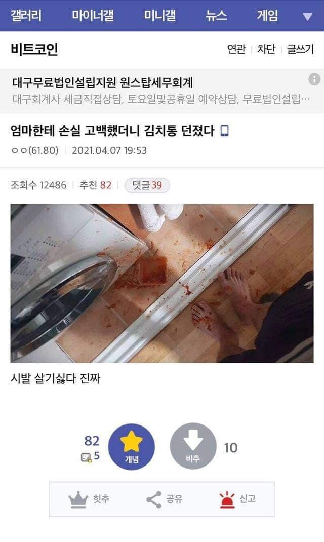 코인.주식갤 레전드