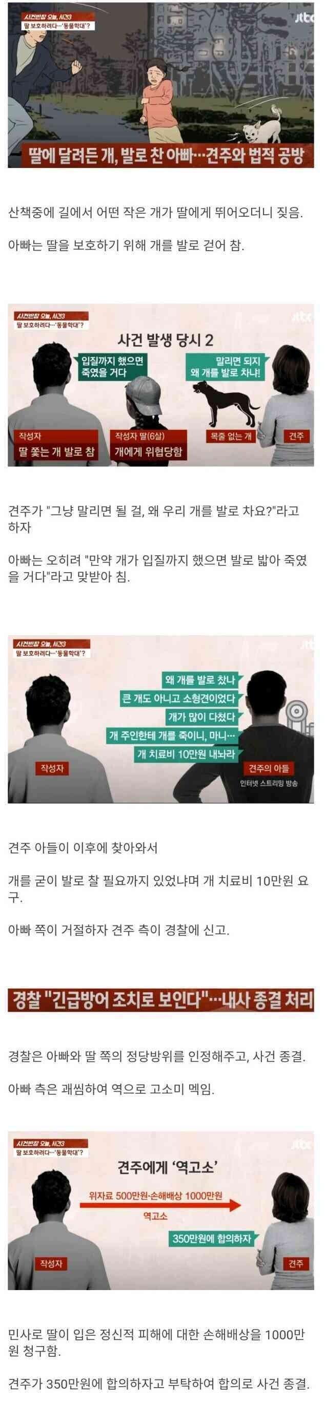 딸에 달려든 개 발로 찼는데 견주가 고소한 사건