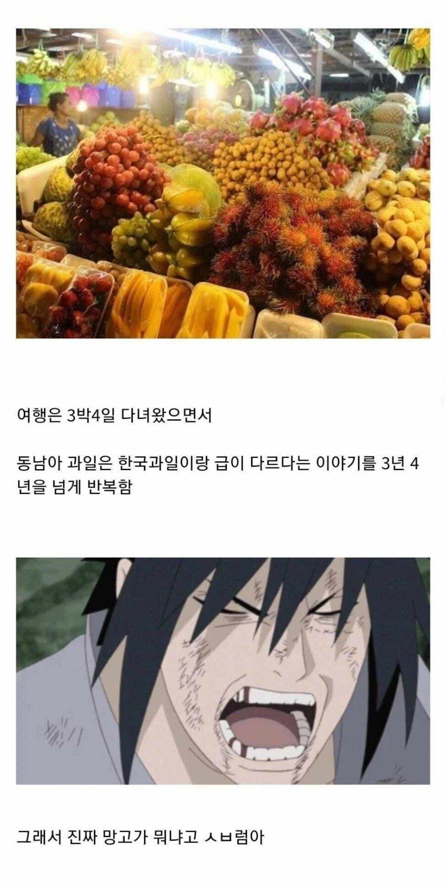 동남아 여행 갔다온 사람들 특징.jpg