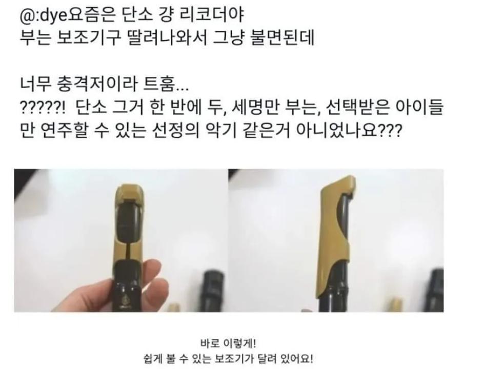 요즘 초등학교 단소 근황.jpg