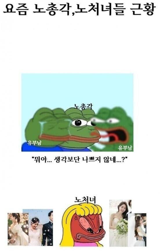 요즘 노총각 노처녀들 근황