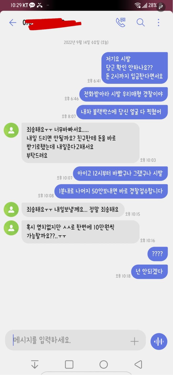 잔금은 몸으로 때우겠다는 당근거래녀