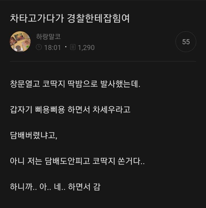 운전중 차 밖으로 버려도 되는 것