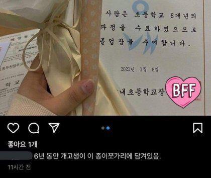 6년간 개고생한 결과