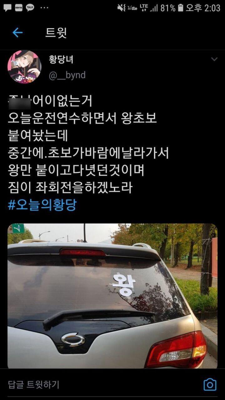 운전 왕초보 대참사