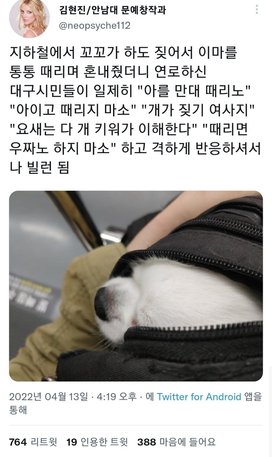 지하철에서 개가 짖길래 때려보았다