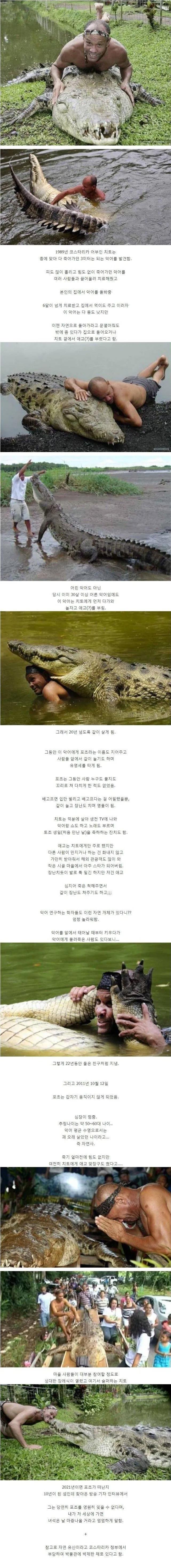 야생 악어를 구해주고 치료해준 결과