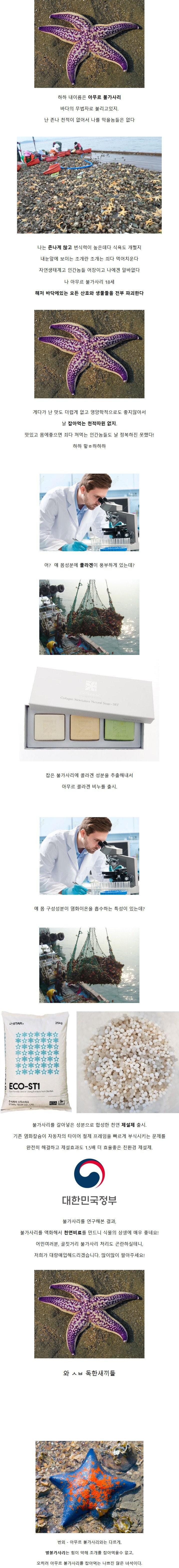 냉혹한 불가사리의 세계