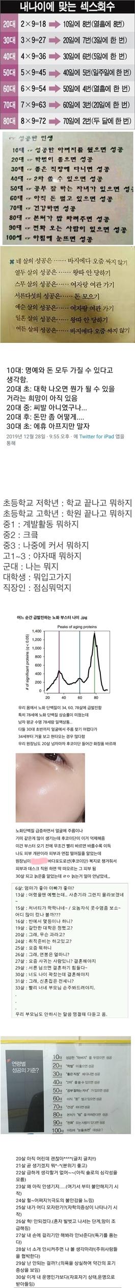 내 나이에 맞는 ㅅㅅ 횟수