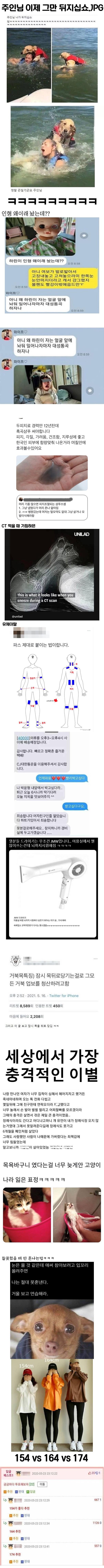 웃긴 짤 모음집ㅋㅋㅋㅋㅋ