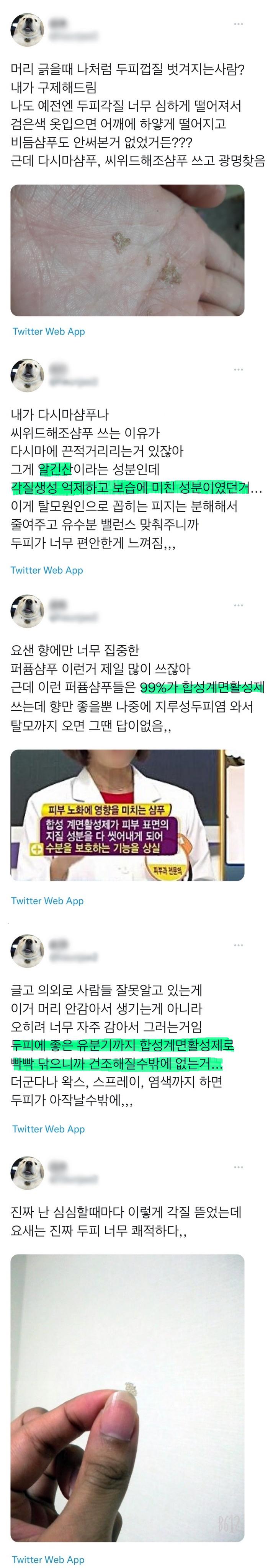 머리에 각질있는 사람들 보셈