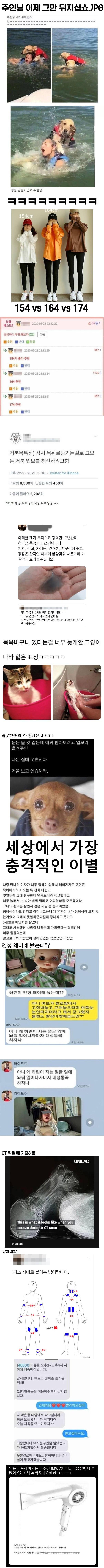 주인님 이제 그만 나가 뒤지십쇼.jpg