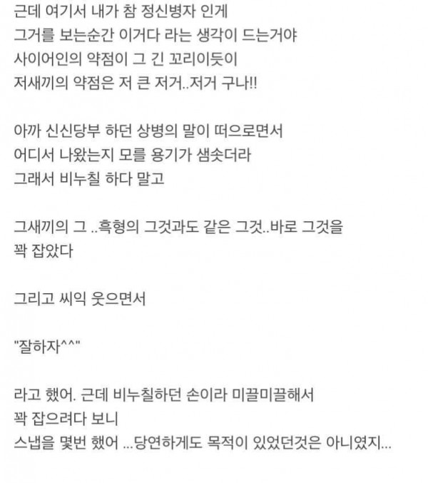 전설의 딸배 사냥꾼