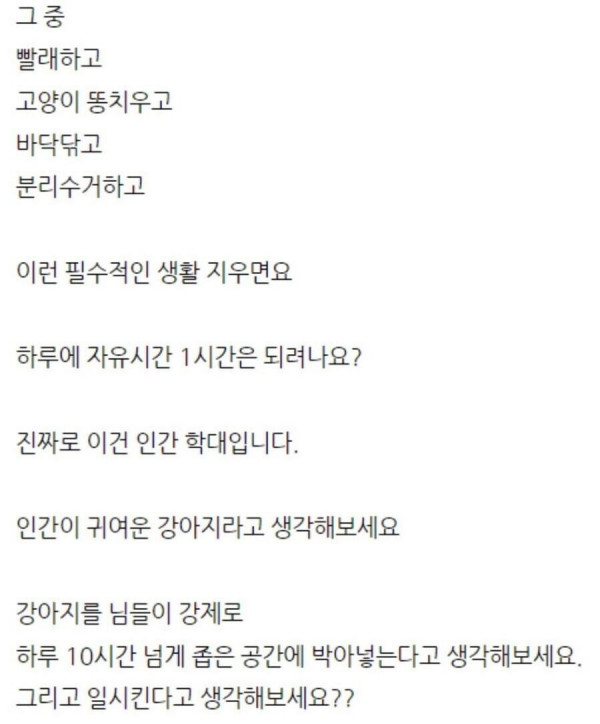 출근충 인생이 개씹노답인 이유