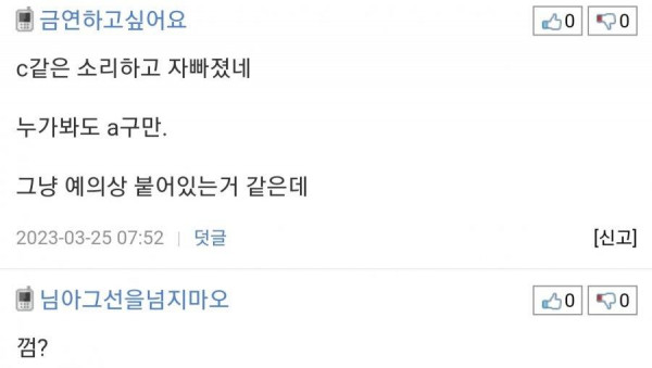 가슴 크기로 논쟁있는 짤