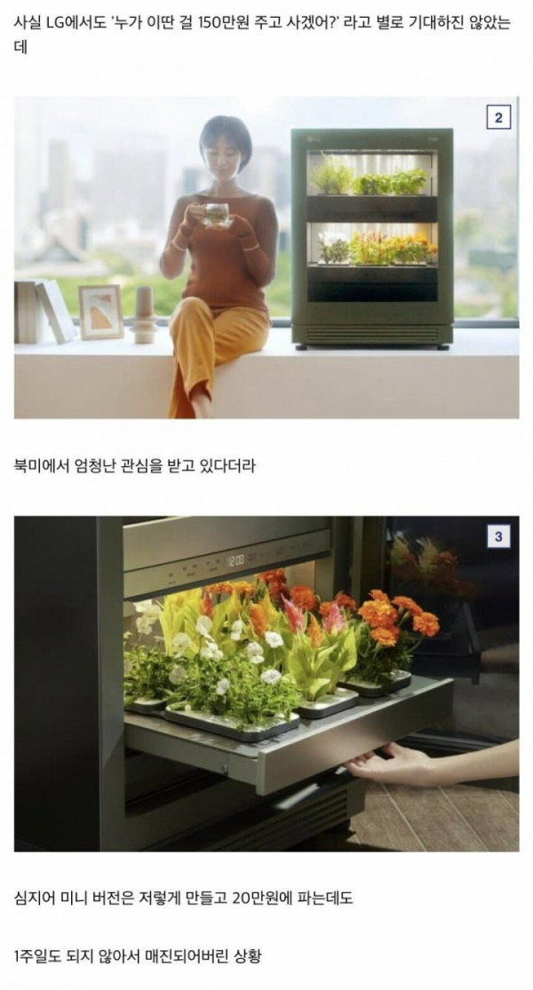 양구가 군인들 등처먹을때