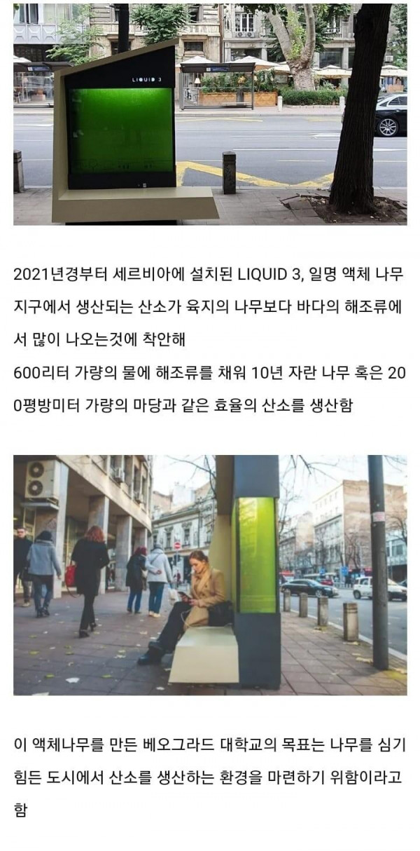 액체로 된 나무를 설치한 나라